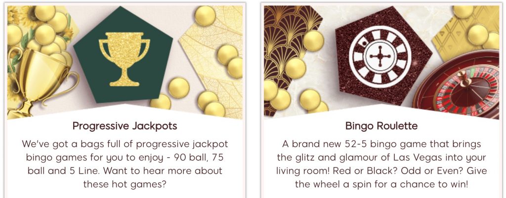 Progressive jackpot and bingo roulette - 88ladies