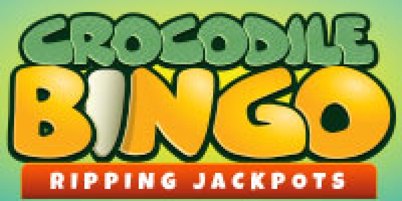 Crocodile Bingo Review 2021