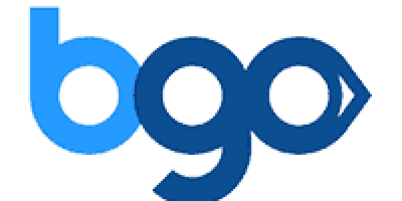 Bgo Bingo Review 2021